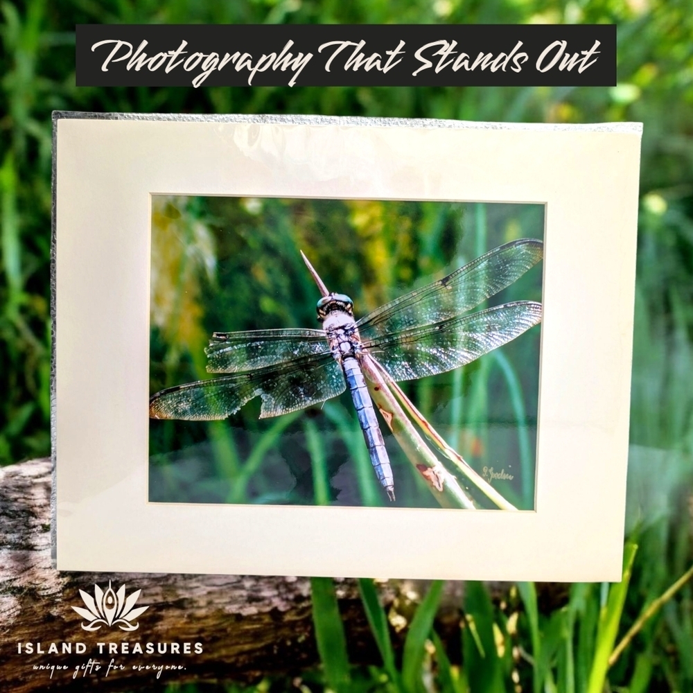 Original Art Photo Print Dragon Fly HHI Autographed and Matted 11x14 Inch
